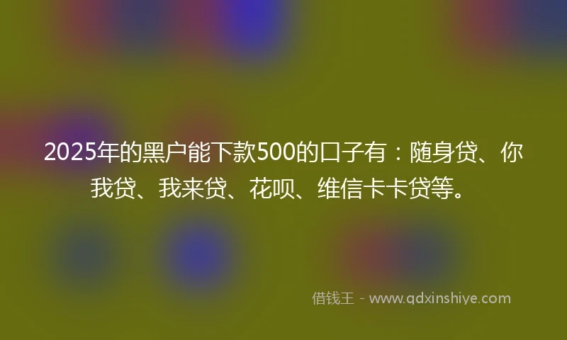 2025年的黑户能下款500的口子有：随身贷、你我贷、我来贷、花呗、维信卡卡贷等。