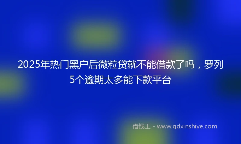 2025年热门黑户后微粒贷就不能借款了吗，罗列5个逾期太多能下款平台
