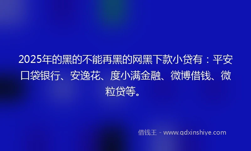 2025年的黑的不能再黑的网黑下款小贷有：平安口袋银行、安逸花、度小满金融、微博借钱、微粒贷等。