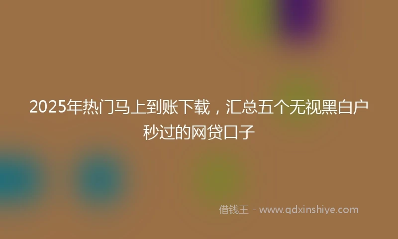 2025年热门马上到账下载，汇总五个无视黑白户秒过的网贷口子