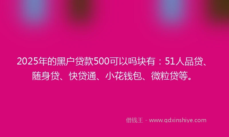 2025年的黑户贷款500可以吗块有：51人品贷、随身贷、快贷通、小花钱包、微粒贷等。