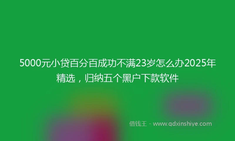 5000元小贷百分百成功不满23岁怎么办2025年精选，归纳五个黑户下款软件