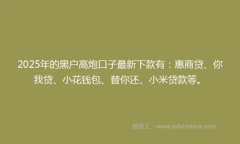 2025年的黑户高炮口子最新下款有：惠商贷、你我贷、小花钱包、替你还、小米贷款等。