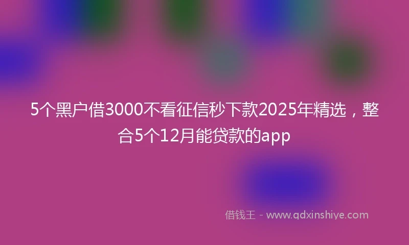 5个黑户借3000不看征信秒下款2025年精选，整合5个12月能贷款的app