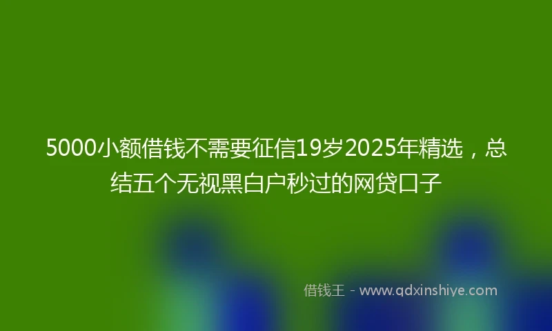 5000小额借钱不需要征信19岁2025年精选，总结五个无视黑白户秒过的网贷口子