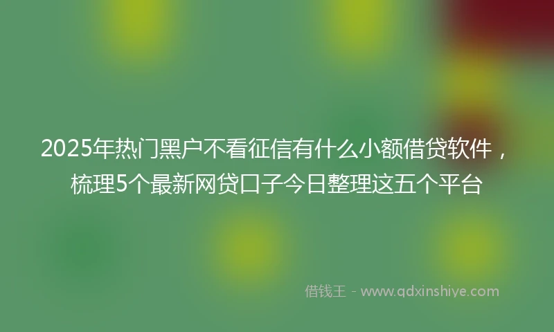2025年热门黑户不看征信有什么小额借贷软件，梳理5个最新网贷口子今日整理这五个平台