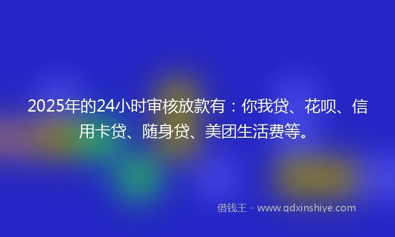 2025年的24小时审核放款有：你我贷、花呗、信用卡贷、随身贷、美团生活费等。