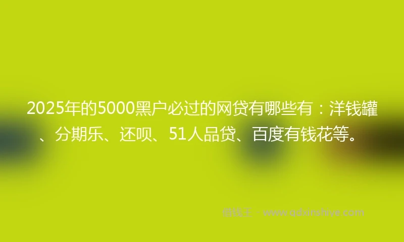 2025年的5000黑户必过的网贷有哪些有：洋钱罐、分期乐、还呗、51人品贷、百度有钱花等。