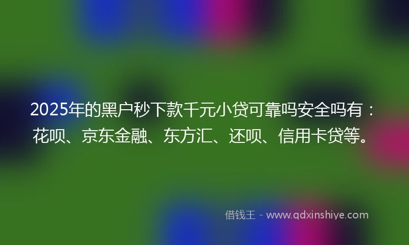 2025年的黑户秒下款千元小贷可靠吗安全吗有：花呗、京东金融、东方汇、还呗、信用卡贷等。