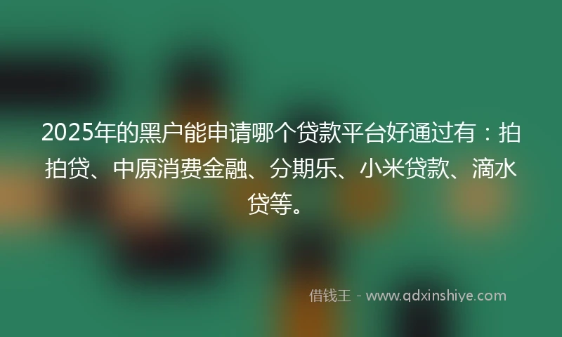 2025年的黑户能申请哪个贷款平台好通过有：拍拍贷、中原消费金融、分期乐、小米贷款、滴水贷等。