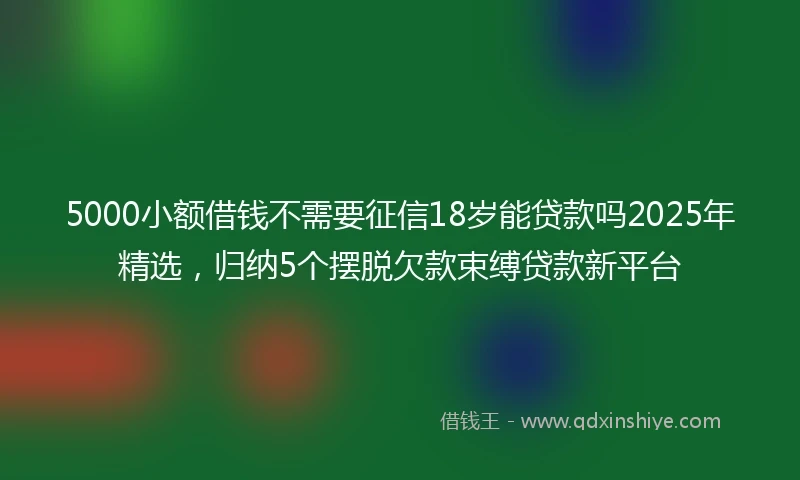 5000小额借钱不需要征信18岁能贷款吗2025年精选，归纳5个摆脱欠款束缚贷款新平台
