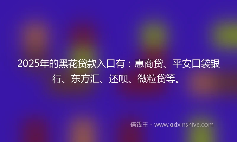 2025年的黑花贷款入口有：惠商贷、平安口袋银行、东方汇、还呗、微粒贷等。