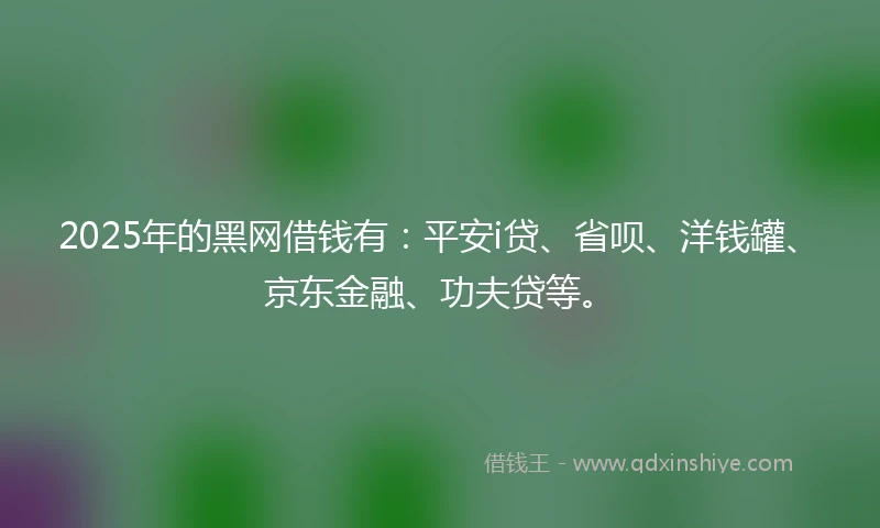 2025年的黑网借钱有：平安i贷、省呗、洋钱罐、京东金融、功夫贷等。
