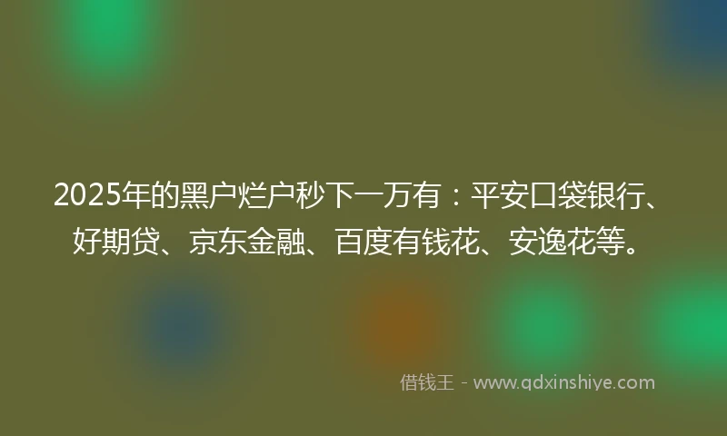2025年的黑户烂户秒下一万有：平安口袋银行、好期贷、京东金融、百度有钱花、安逸花等。