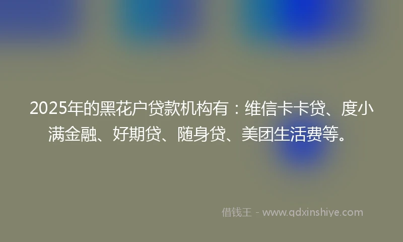 2025年的黑花户贷款机构有：维信卡卡贷、度小满金融、好期贷、随身贷、美团生活费等。