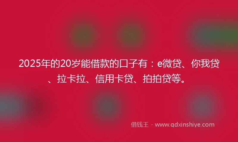 2025年的20岁能借款的口子有：e微贷、你我贷、拉卡拉、信用卡贷、拍拍贷等。