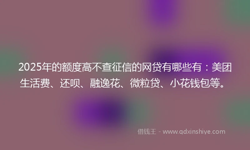 2025年的额度高不查征信的网贷有哪些有：美团生活费、还呗、融逸花、微粒贷、小花钱包等。