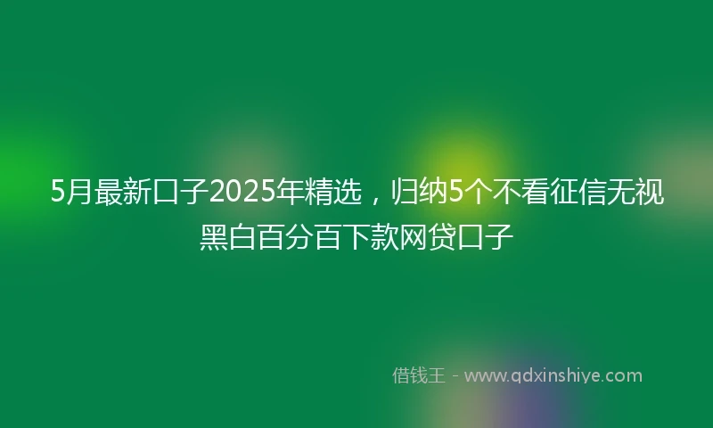 5月最新口子2025年精选，归纳5个不看征信无视黑白百分百下款网贷口子