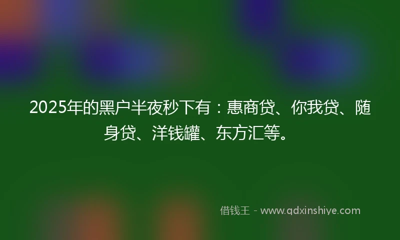 2025年的黑户半夜秒下有：惠商贷、你我贷、随身贷、洋钱罐、东方汇等。