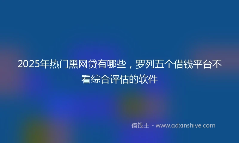 2025年热门黑网贷有哪些，罗列五个借钱平台不看综合评估的软件