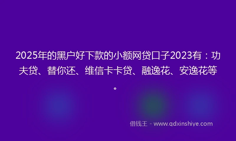 2025年的黑户好下款的小额网贷口子2023有：功夫贷、替你还、维信卡卡贷、融逸花、安逸花等。