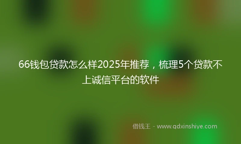 66钱包贷款怎么样2025年推荐，梳理5个贷款不上诚信平台的软件