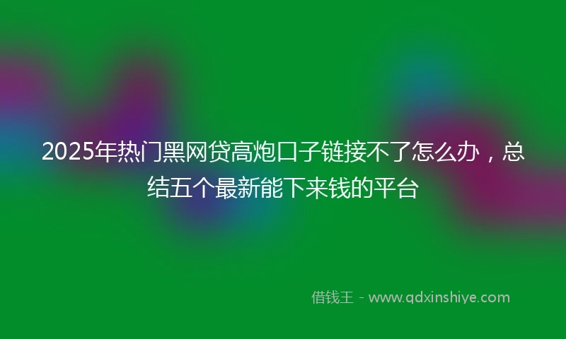 2025年热门黑网贷高炮口子链接不了怎么办，总结五个最新能下来钱的平台