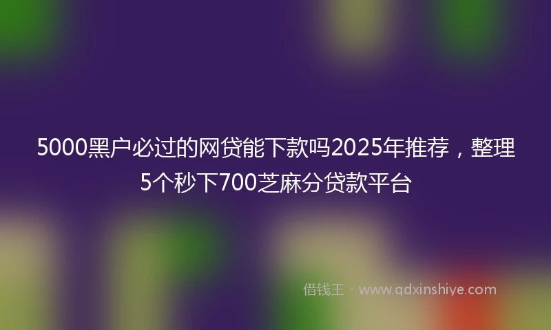 5000黑户必过的网贷能下款吗2025年推荐，整理5个秒下700芝麻分贷款平台