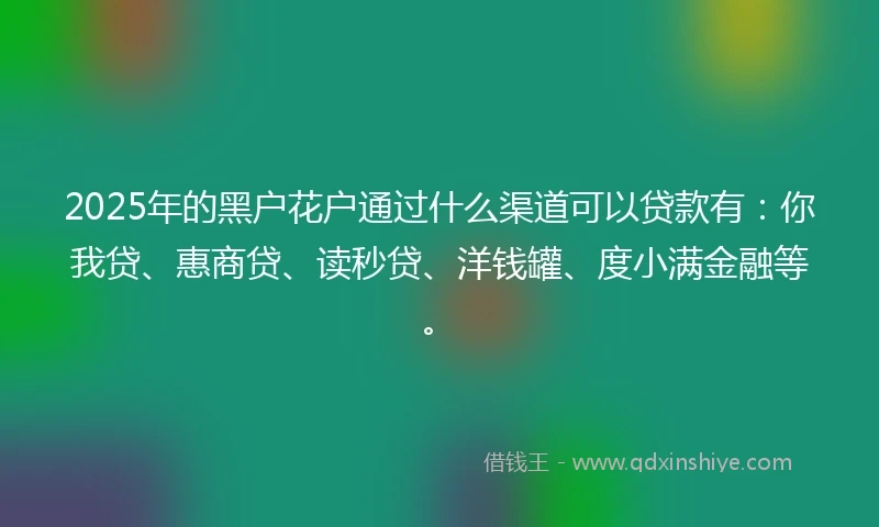 2025年的黑户花户通过什么渠道可以贷款有：你我贷、惠商贷、读秒贷、洋钱罐、度小满金融等。