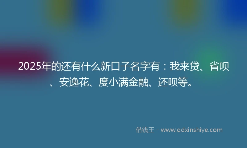 2025年的还有什么新口子名字有：我来贷、省呗、安逸花、度小满金融、还呗等。