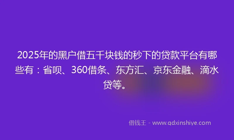 2025年的黑户借五千块钱的秒下的贷款平台有哪些有：省呗、360借条、东方汇、京东金融、滴水贷等。