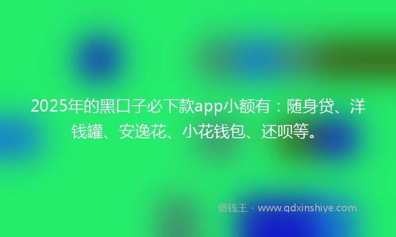 2025年的黑口子必下款app小额有：随身贷、洋钱罐、安逸花、小花钱包、还呗等。