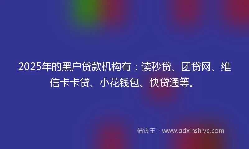 2025年的黑户贷款机构有：读秒贷、团贷网、维信卡卡贷、小花钱包、快贷通等。