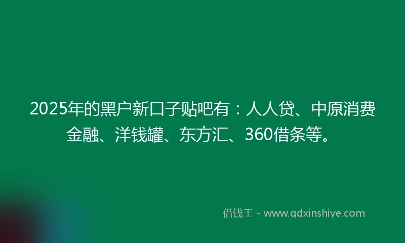 2025年的黑户新口子贴吧有：人人贷、中原消费金融、洋钱罐、东方汇、360借条等。