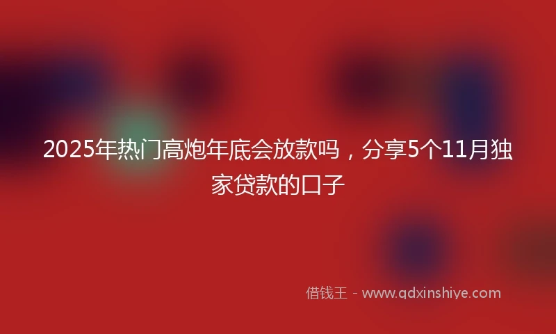 2025年热门高炮年底会放款吗,分享5个11月独家贷款的口子