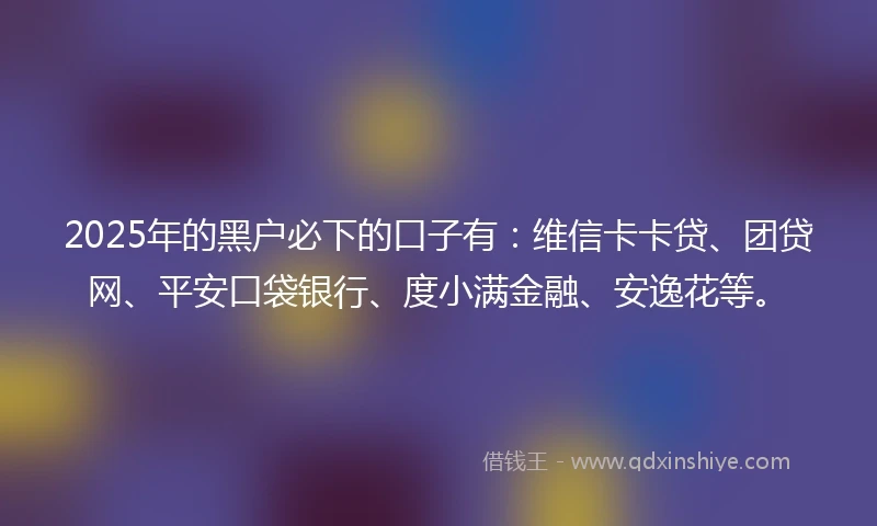 2025年的黑户必下的口子有：维信卡卡贷、团贷网、平安口袋银行、度小满金融、安逸花等。