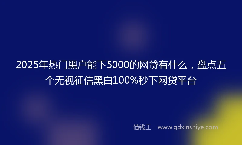 2025年热门黑户能下5000的网贷有什么，盘点五个无视征信黑白100%秒下网贷平台
