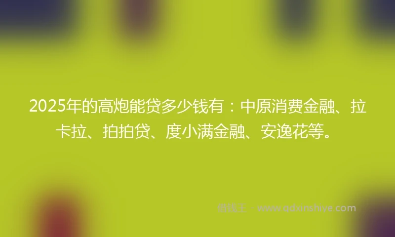 2025年的高炮能贷多少钱有：中原消费金融、拉卡拉、拍拍贷、度小满金融、安逸花等。