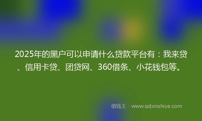 2025年的黑户可以申请什么贷款平台有：我来贷、信用卡贷、团贷网、360借条、小花钱包等。