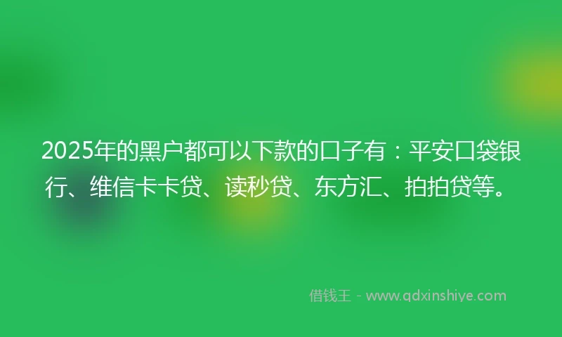 2025年的黑户都可以下款的口子有：平安口袋银行、维信卡卡贷、读秒贷、东方汇、拍拍贷等。