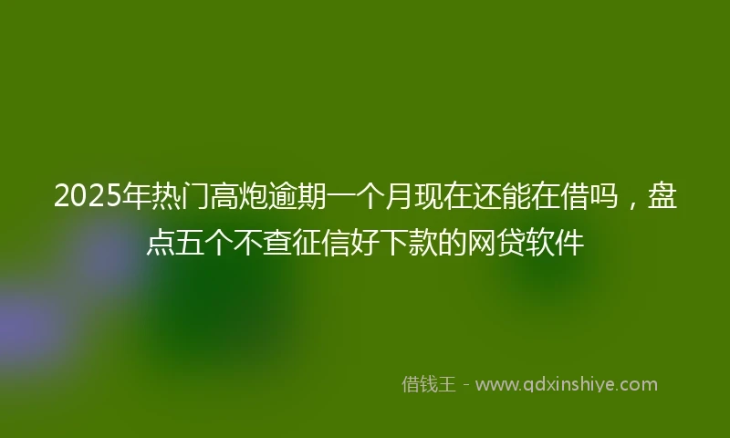 2025年热门高炮逾期一个月现在还能在借吗，盘点五个不查征信好下款的网贷软件