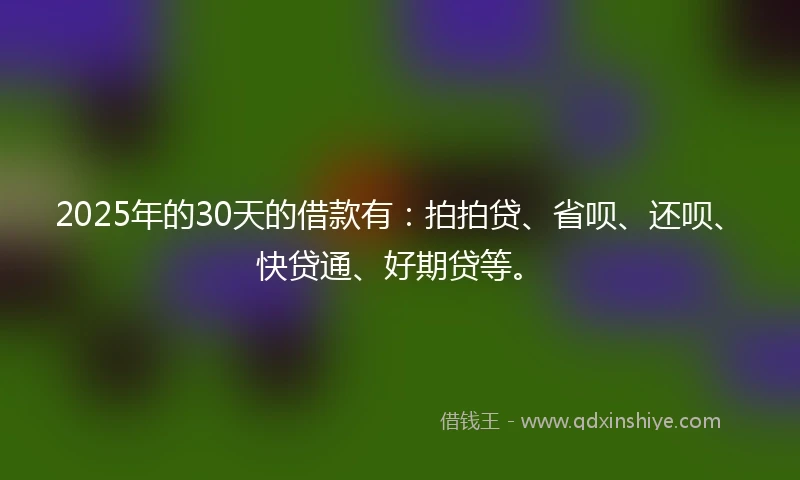 2025年的30天的借款有：拍拍贷、省呗、还呗、快贷通、好期贷等。