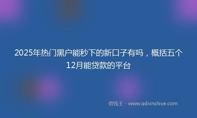2025年热门黑户能秒下的新口子有吗，概括五个12月能贷款的平台