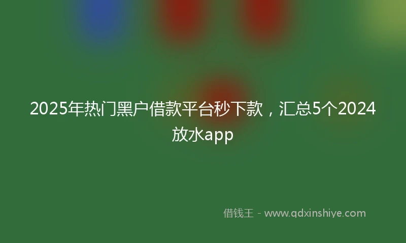 2025年热门黑户借款平台秒下款，汇总5个2024放水app