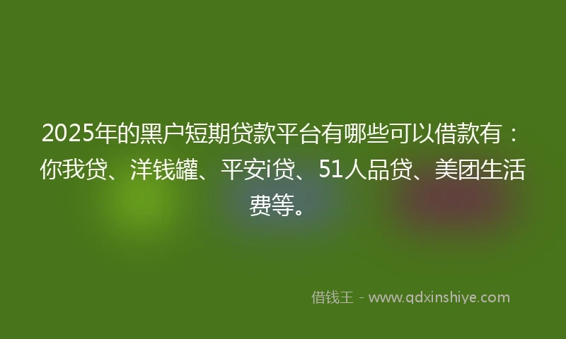 2025年的黑户短期贷款平台有哪些可以借款有：你我贷、洋钱罐、平安i贷、51人品贷、美团生活费等。