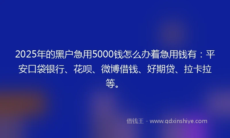 2025年的黑户急用5000钱怎么办着急用钱有：平安口袋银行、花呗、微博借钱、好期贷、拉卡拉等。