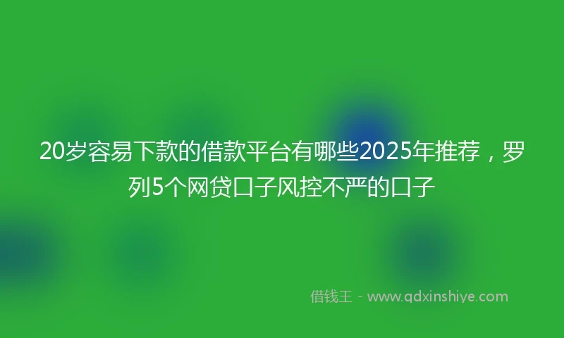 20岁容易下款的借款平台有哪些2025年推荐，罗列5个网贷口子风控不严的口子
