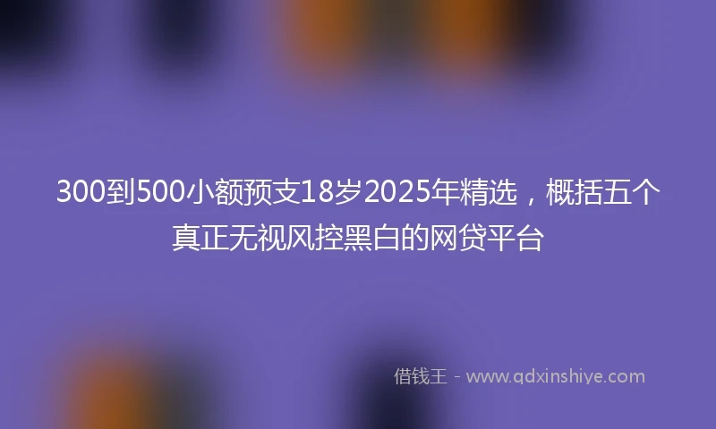 300到500小额预支18岁2025年精选，概括五个真正无视风控黑白的网贷平台