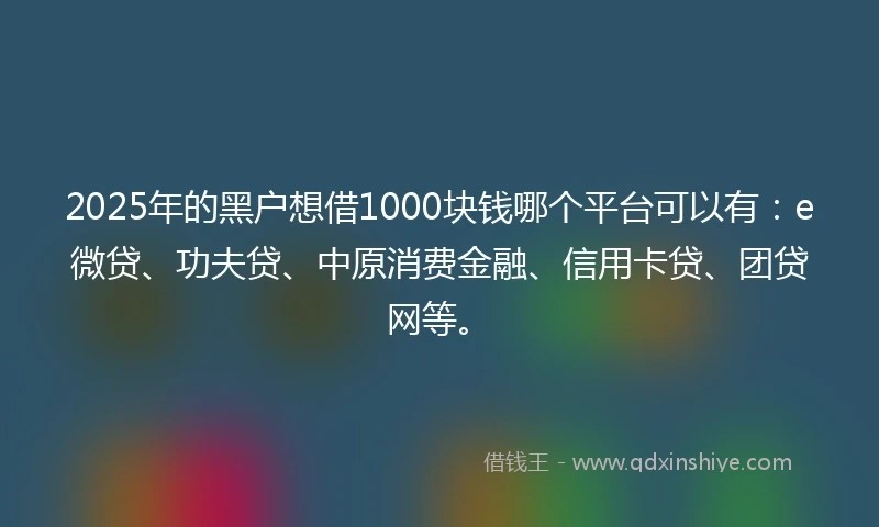 2025年的黑户想借1000块钱哪个平台可以有：e微贷、功夫贷、中原消费金融、信用卡贷、团贷网等。