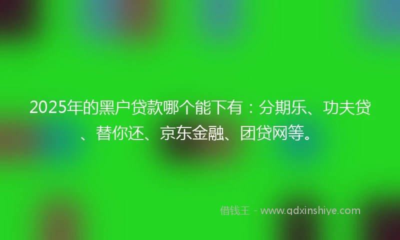 2025年的黑户贷款哪个能下有：分期乐、功夫贷、替你还、京东金融、团贷网等。